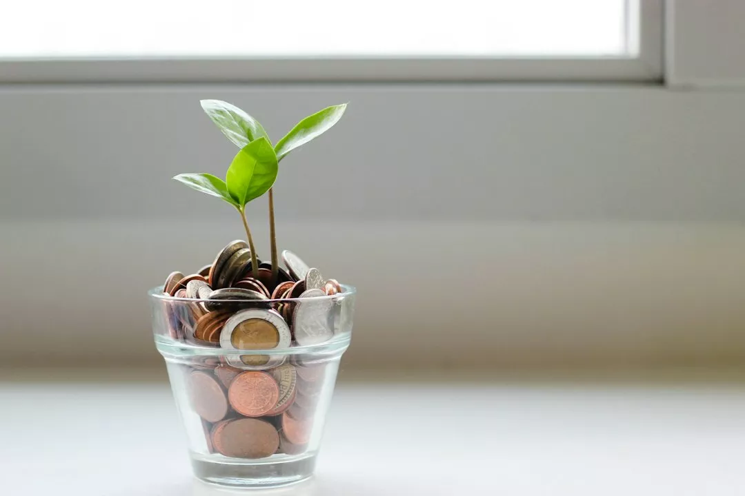 Compound Interest 101: How It Grows Your Money